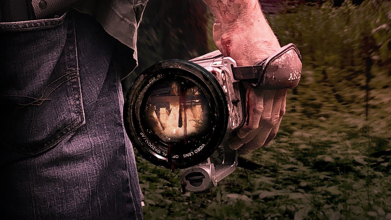 Backdrop – Red Woods