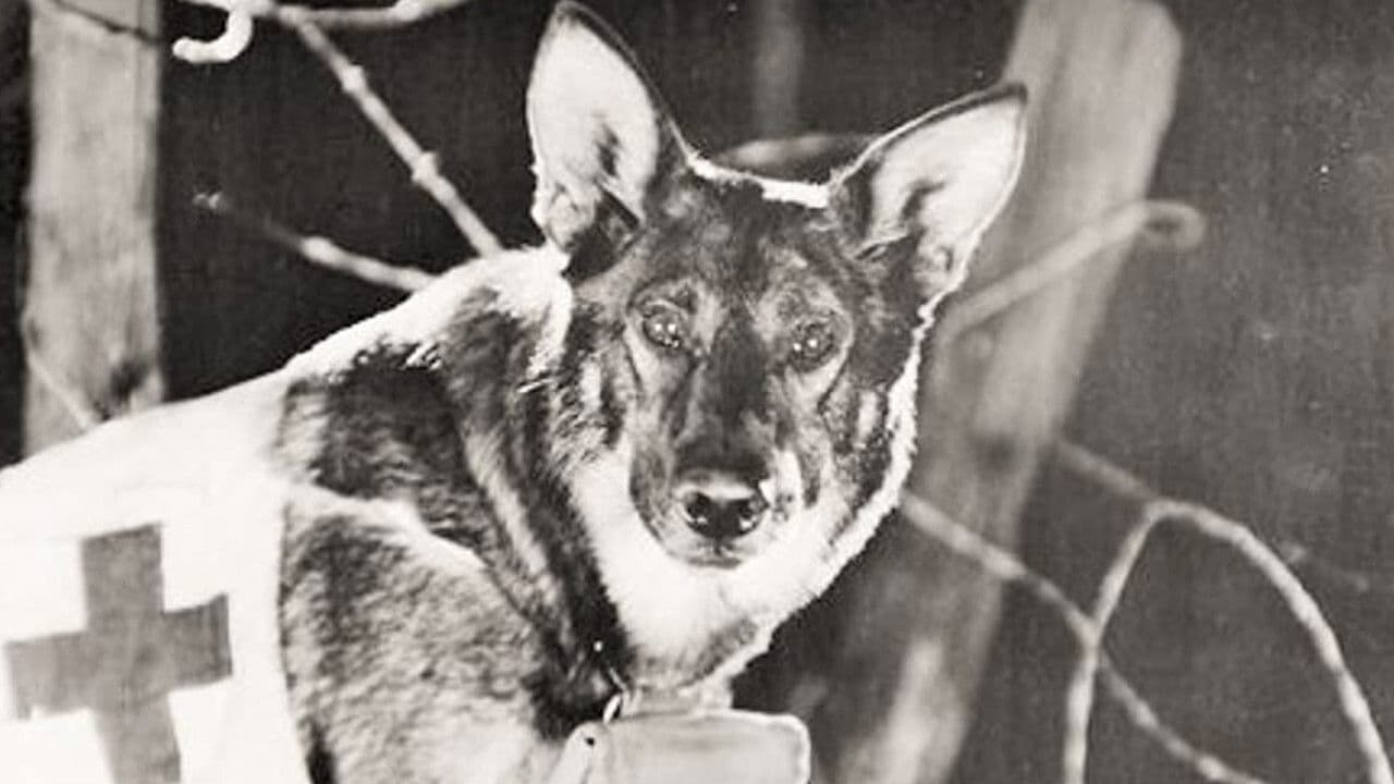 Backdrop – Find Your Man