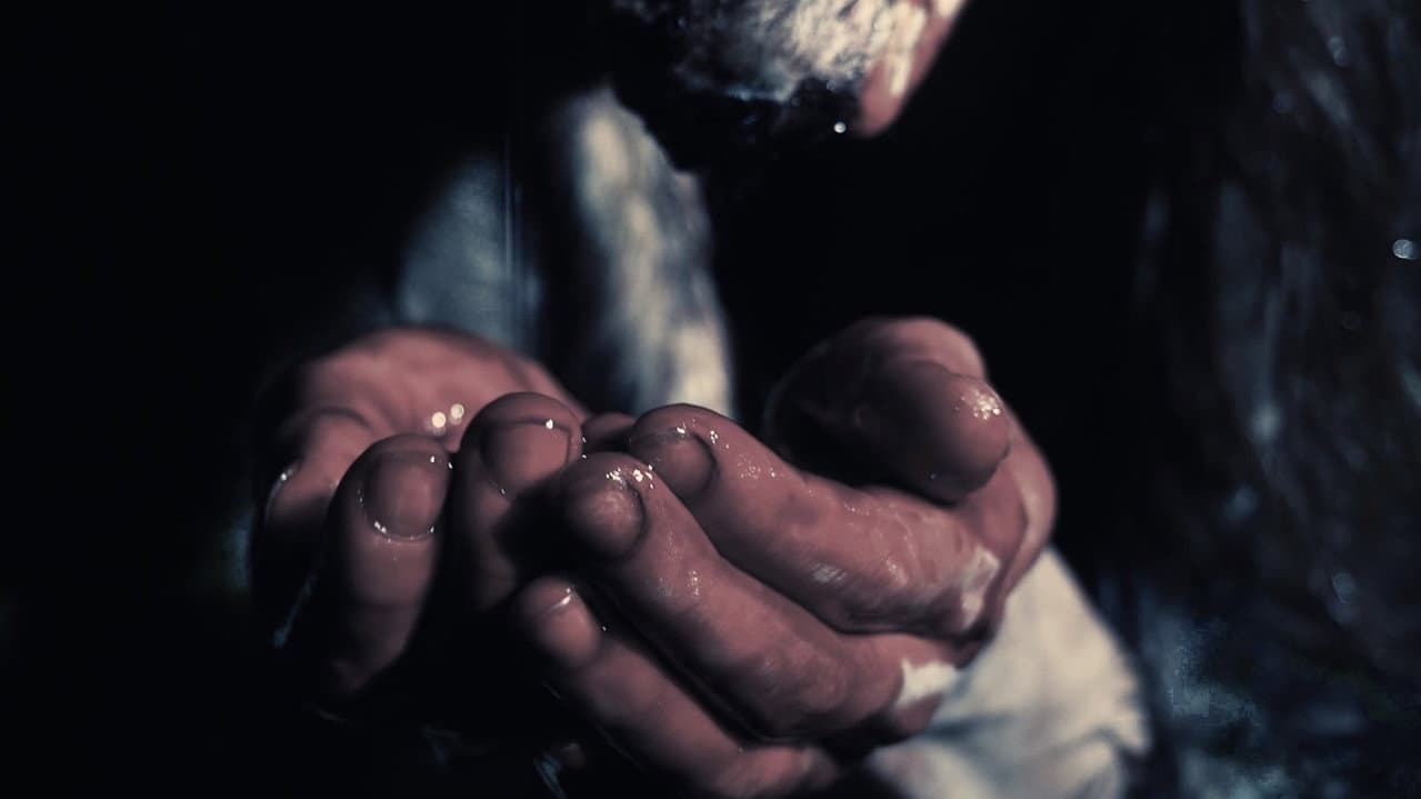 Backdrop – Wendigo