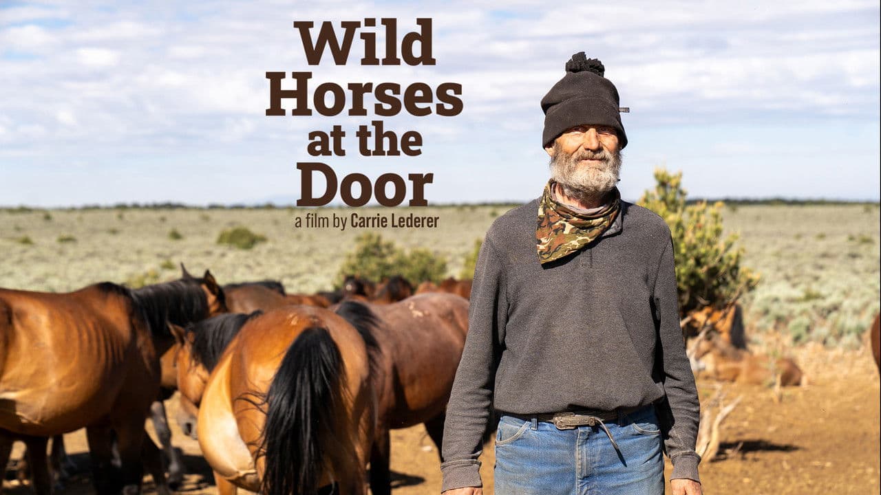 Backdrop – Wild Horses at the Door