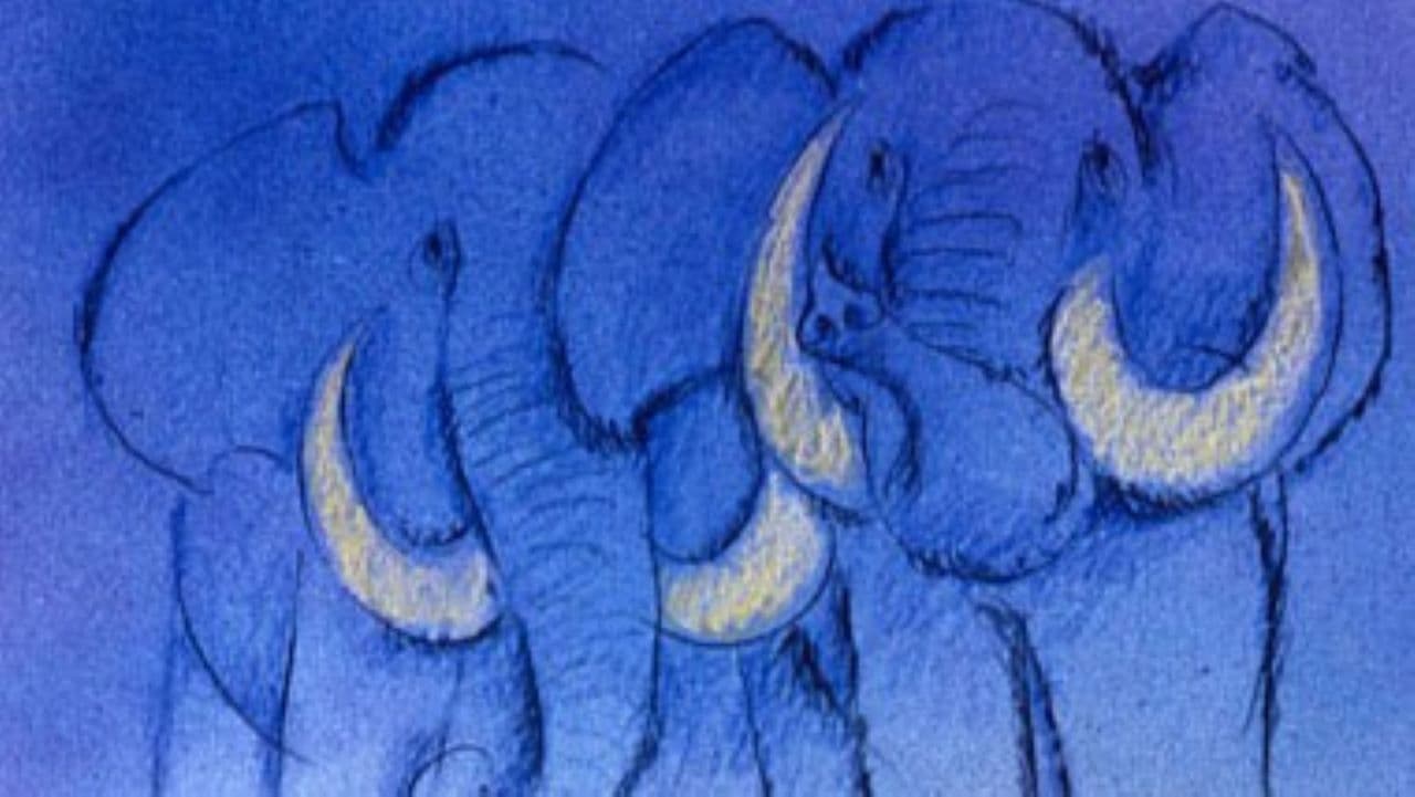 Backdrop – Tout rien