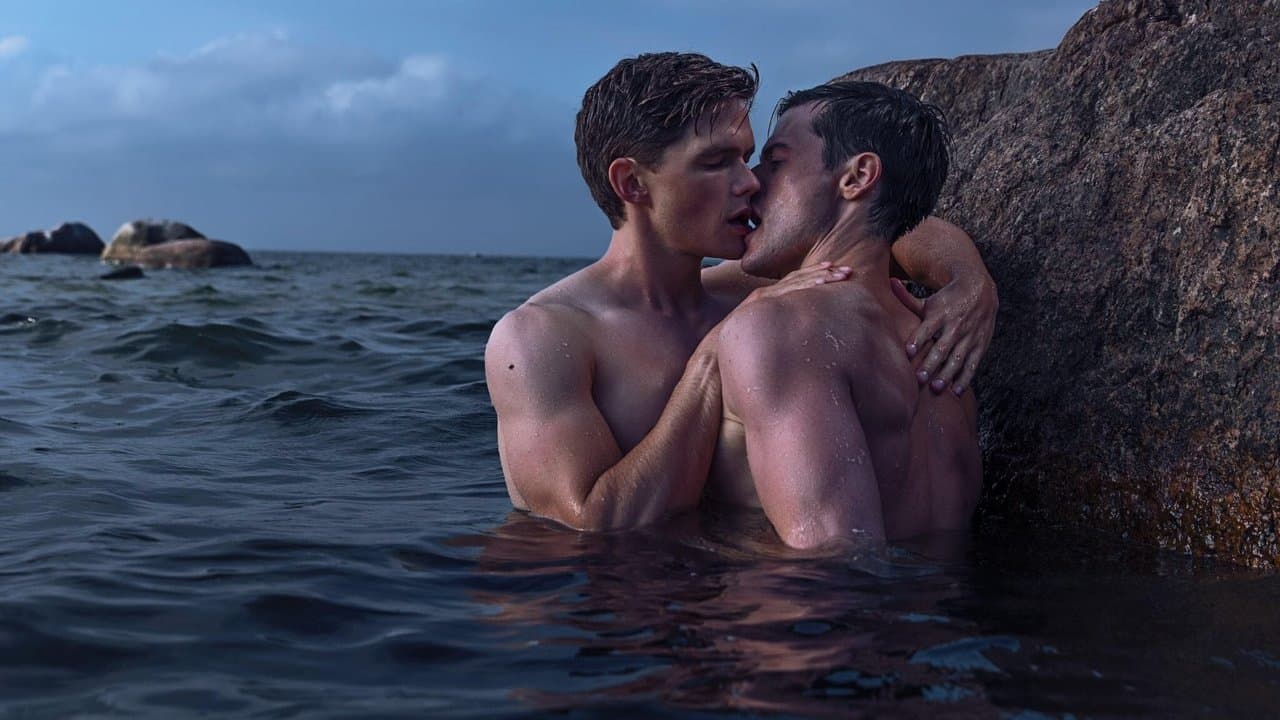 Backdrop – Firebird