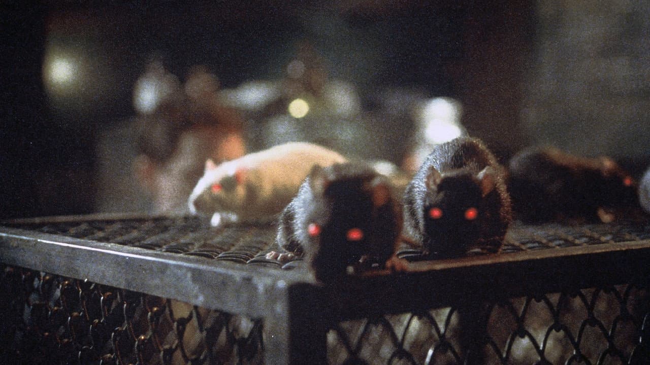 Backdrop – The Riffs III - Die Ratten von Manhattan