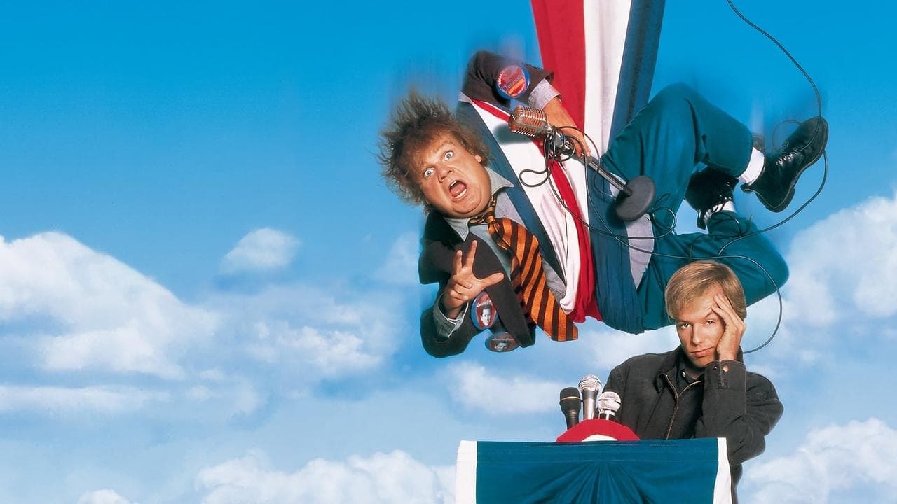 Backdrop – Black Sheep