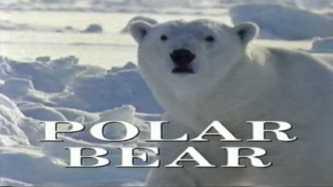 Backdrop – Predators of the Wild: Polar Bear