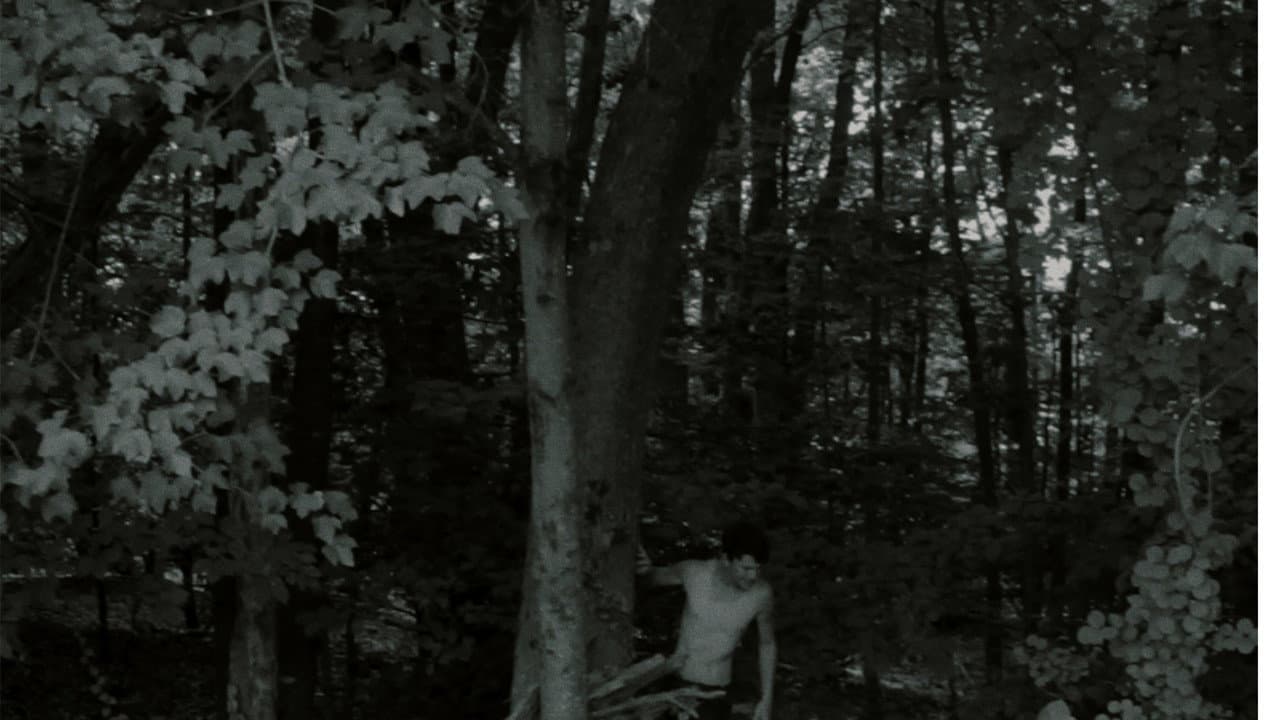Backdrop – Dream Sequence