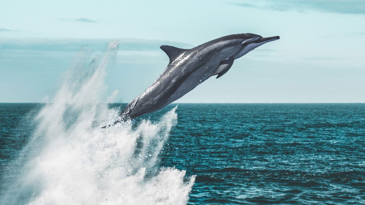 Backdrop – Living Waters