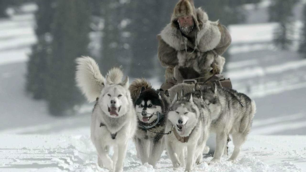 Backdrop – The Great Alaskan Race - Helden auf vier Pfoten