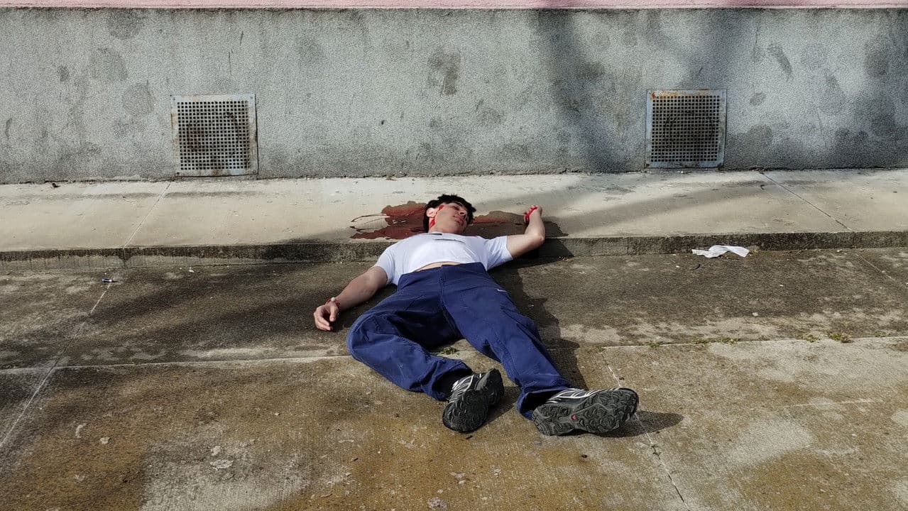 Backdrop – Juego de sombras