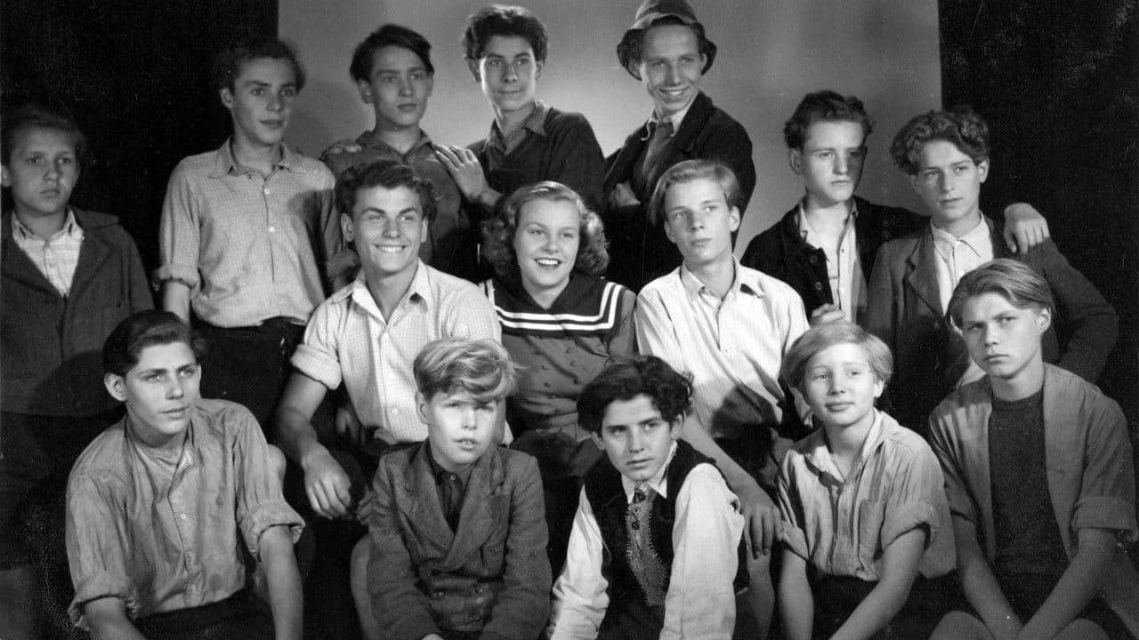 Backdrop – 1-2-3 Corona