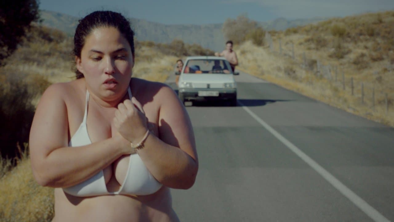 Backdrop – Schweinchen