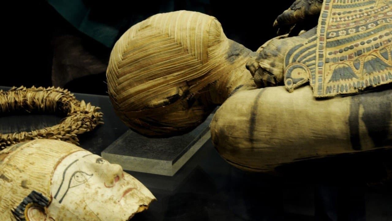 Backdrop – Momies d'Egypte, en quête d'immortalité