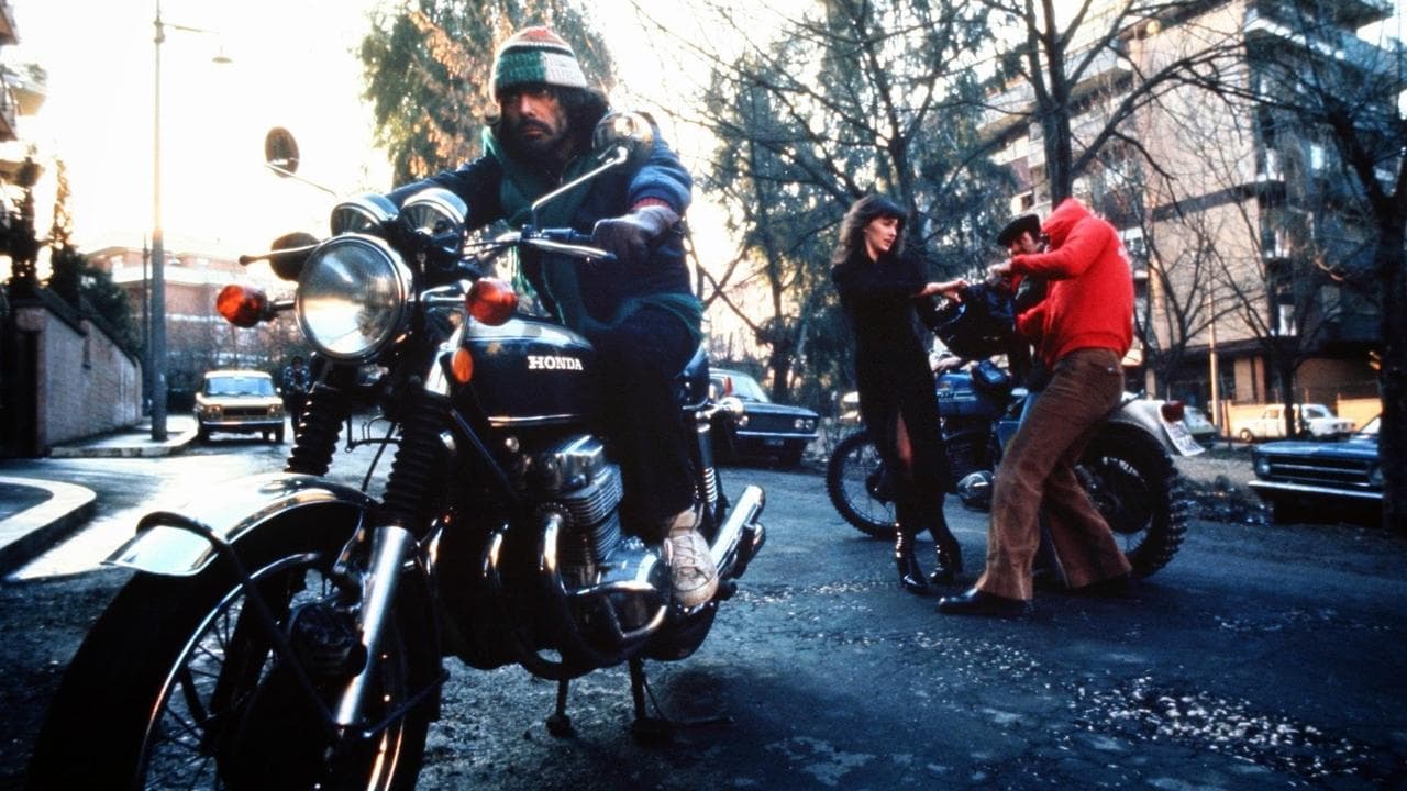 Backdrop – Die Strickmütze