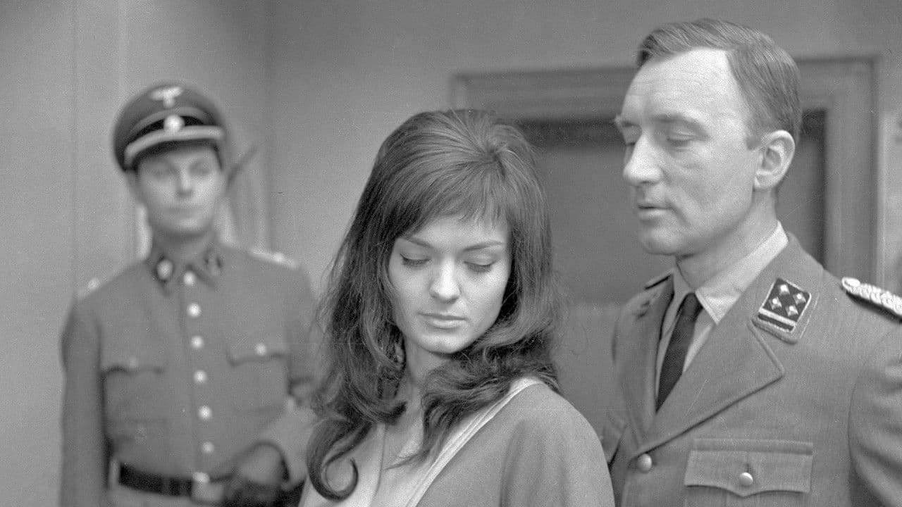 Backdrop – Modlitba pro Kateřinu Horovitzovou