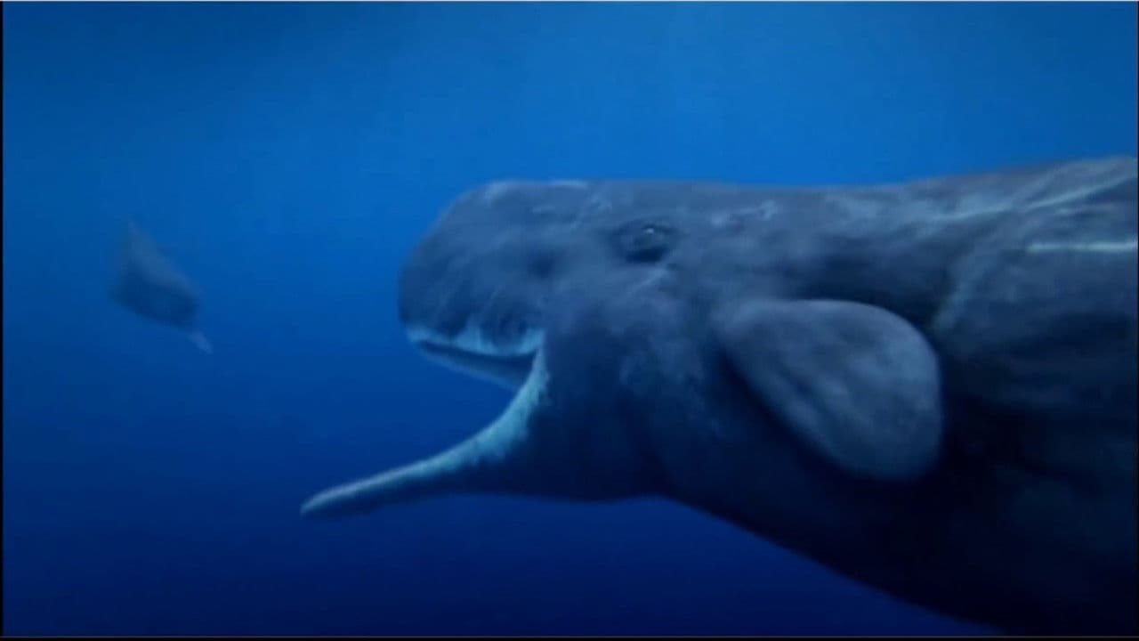 Backdrop – Deep Ocean - Gnadenlose Tiefe