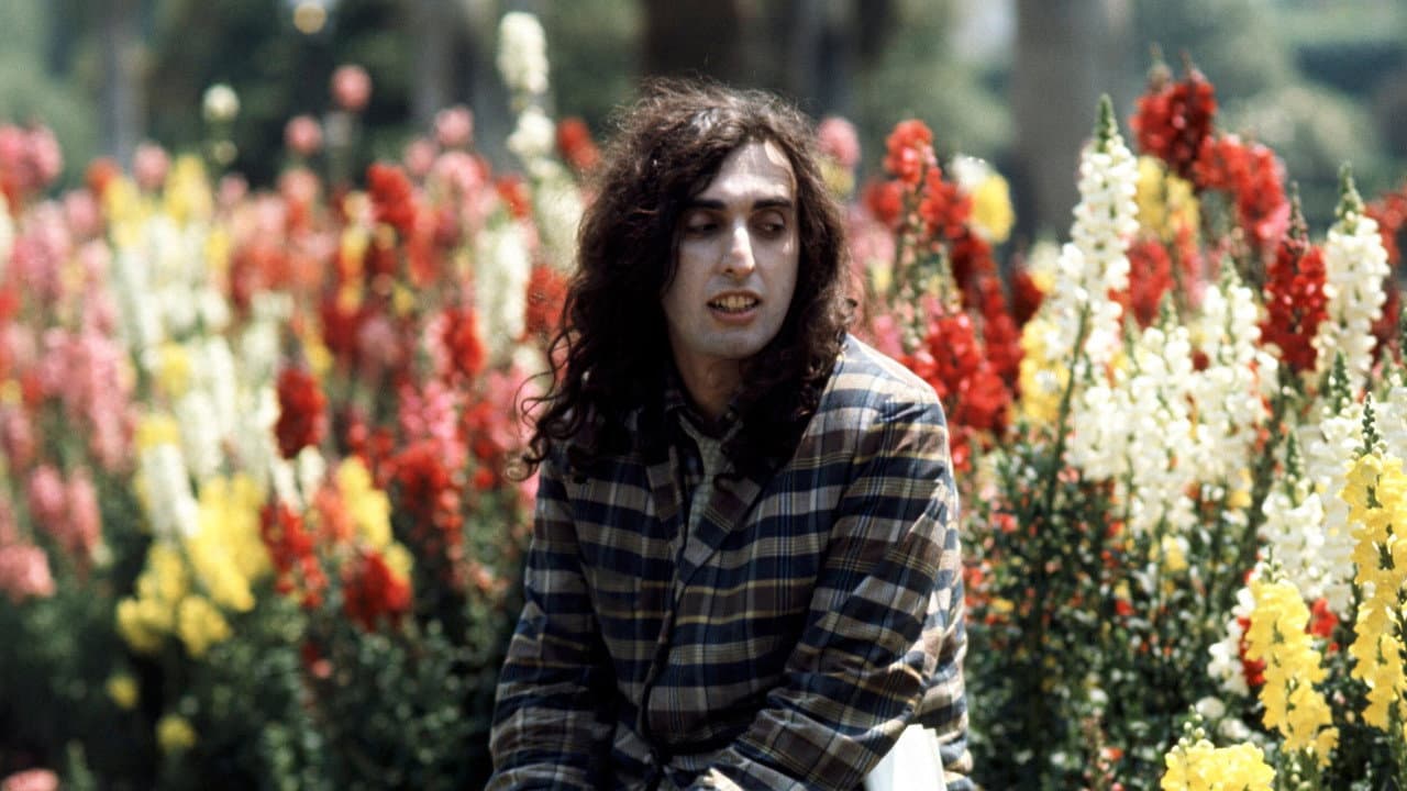 Backdrop – Tiny Tim