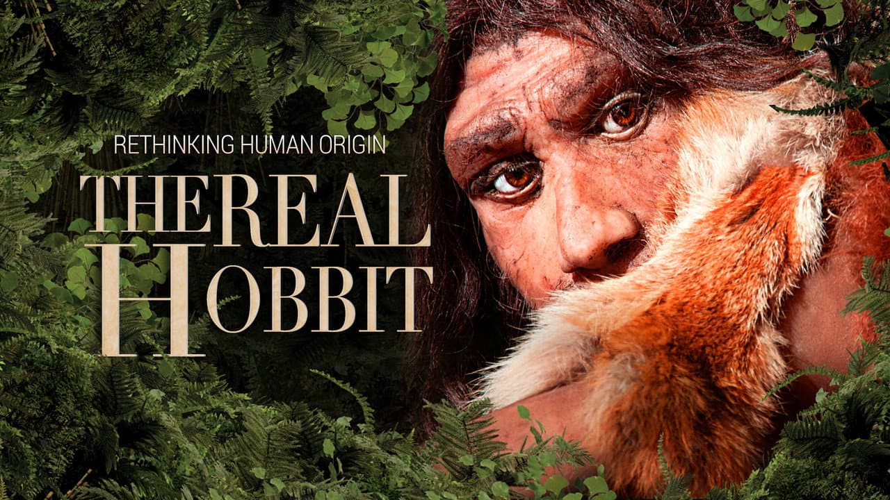 Backdrop – The Hobbit Enigma