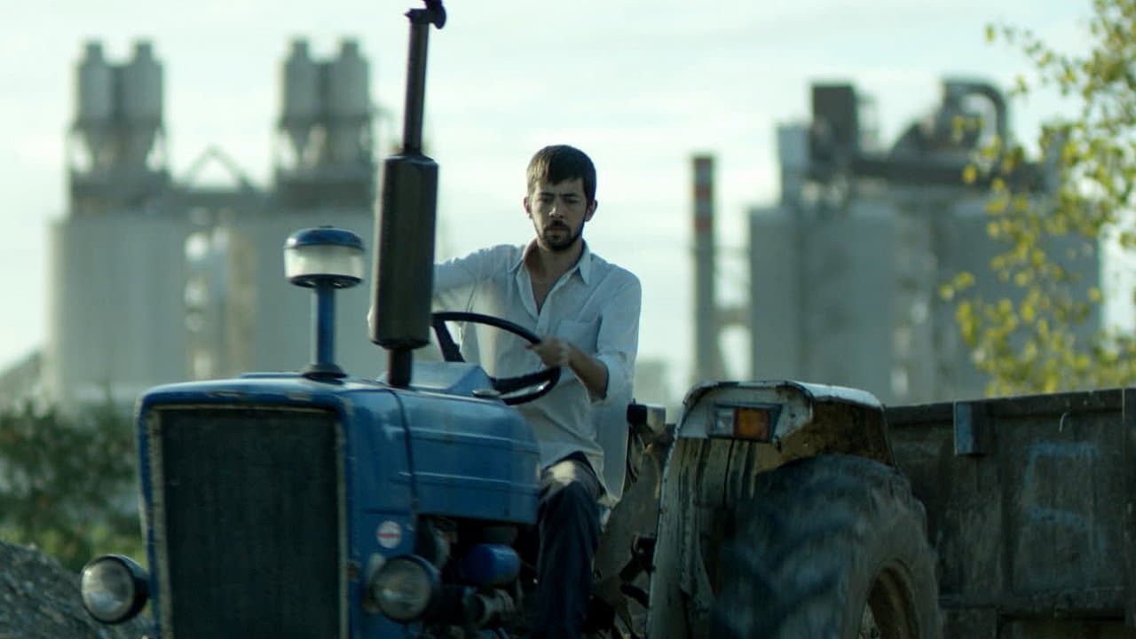 Backdrop – Sarı Sıcak