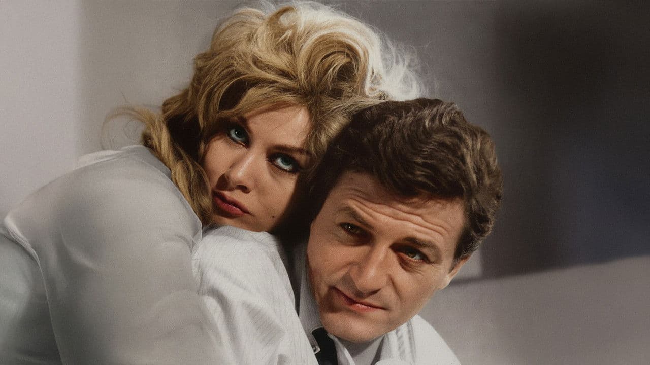 Backdrop – Dişi Örümcek