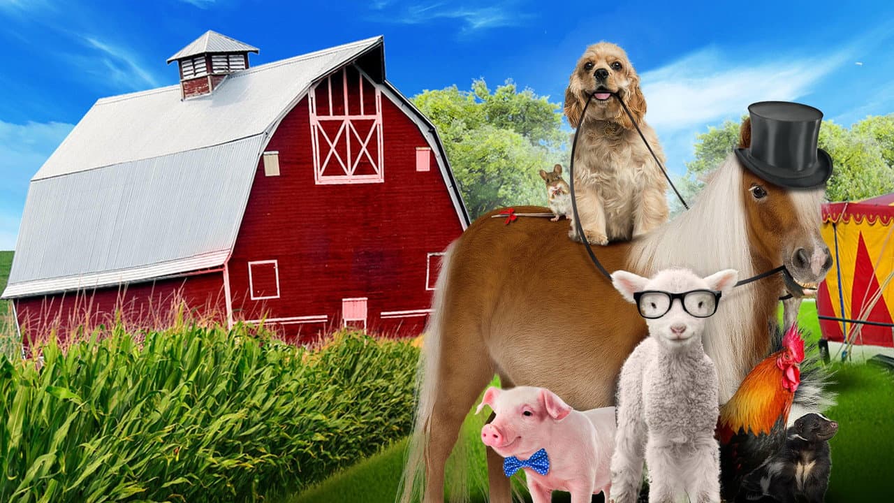 Backdrop – A Dog and Pony Show
