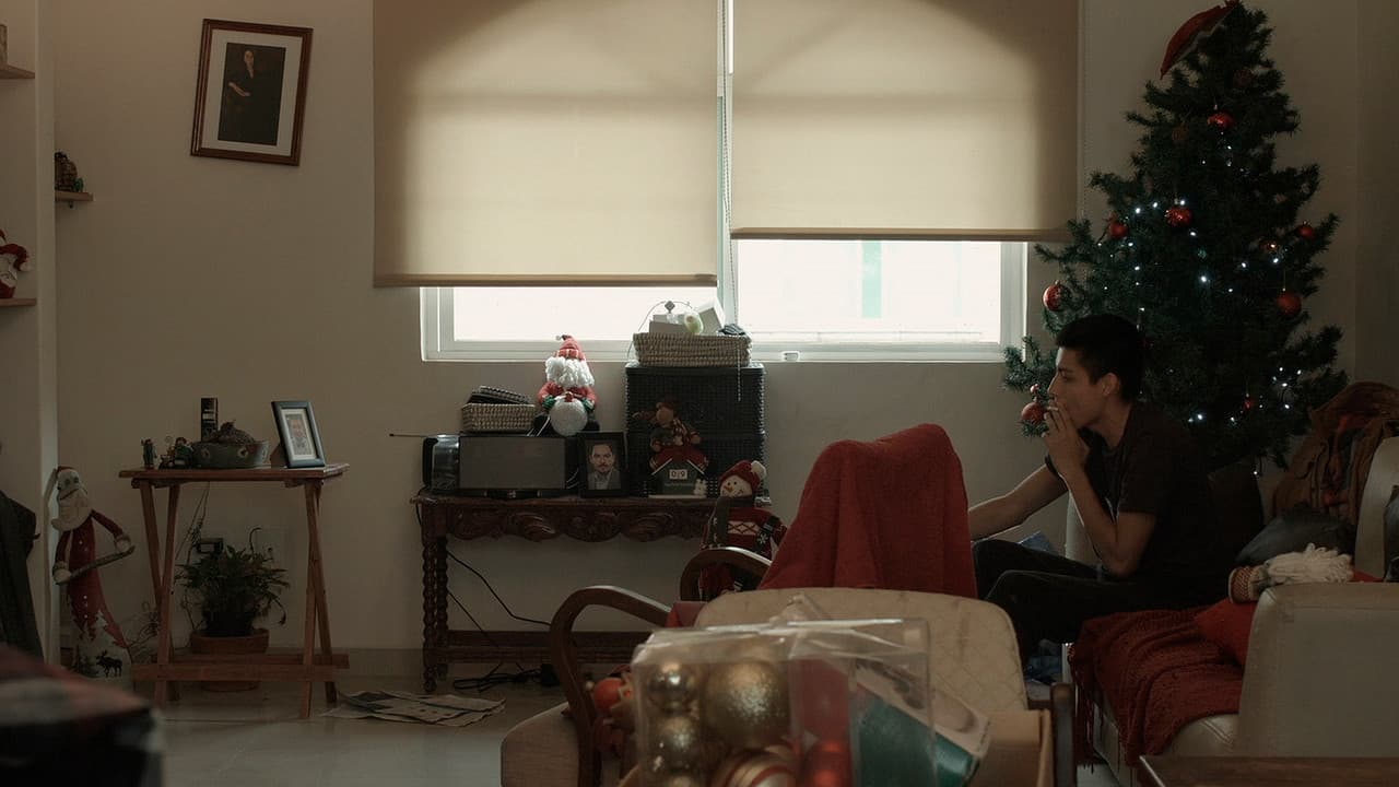 Backdrop – Luces de navidad o de la paloma y el perro