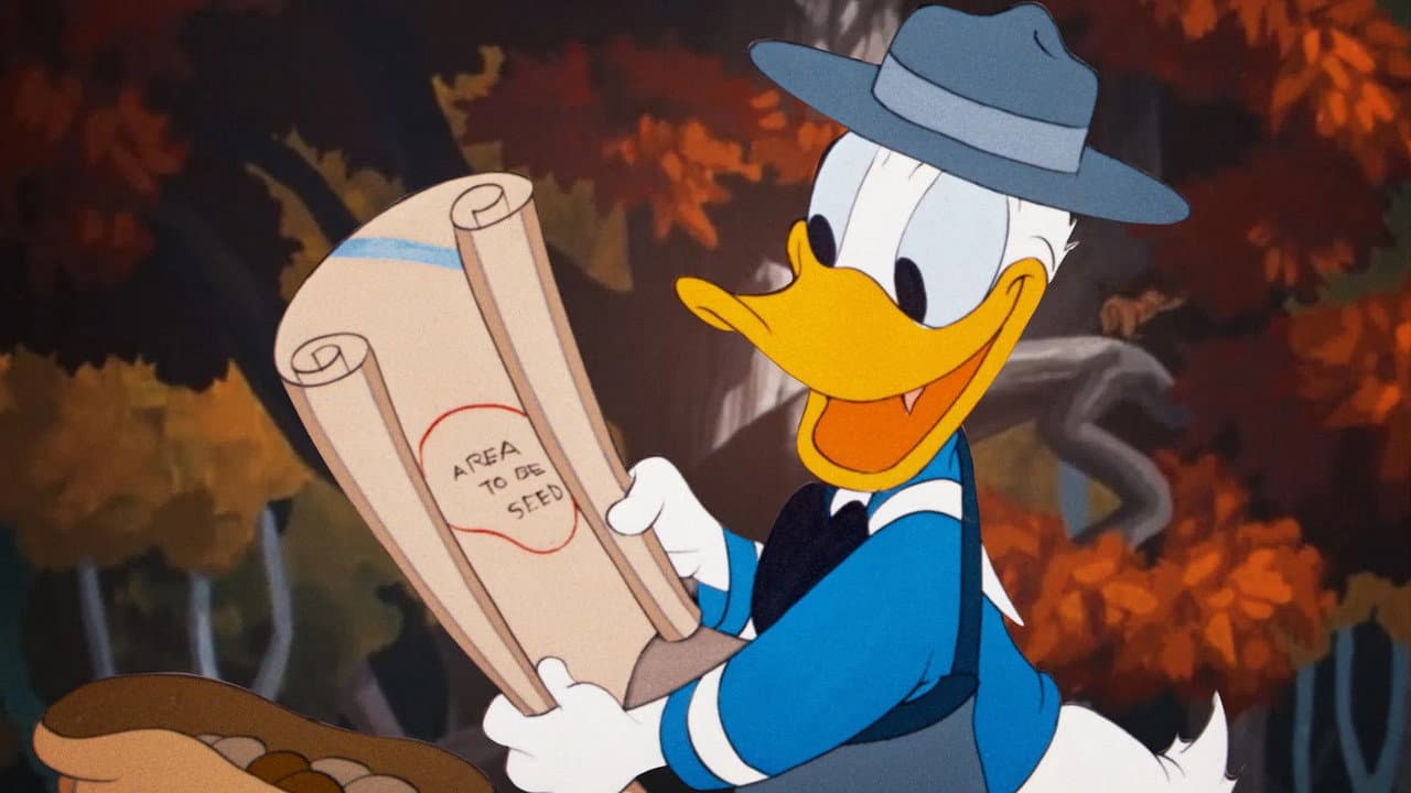 Backdrop – Duck Flies Coop
