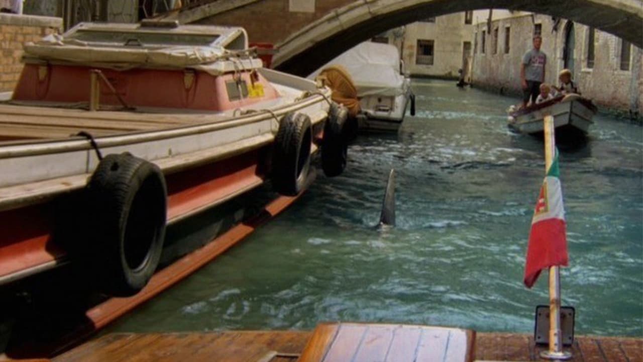 Backdrop – Der weiße Hai in Venedig