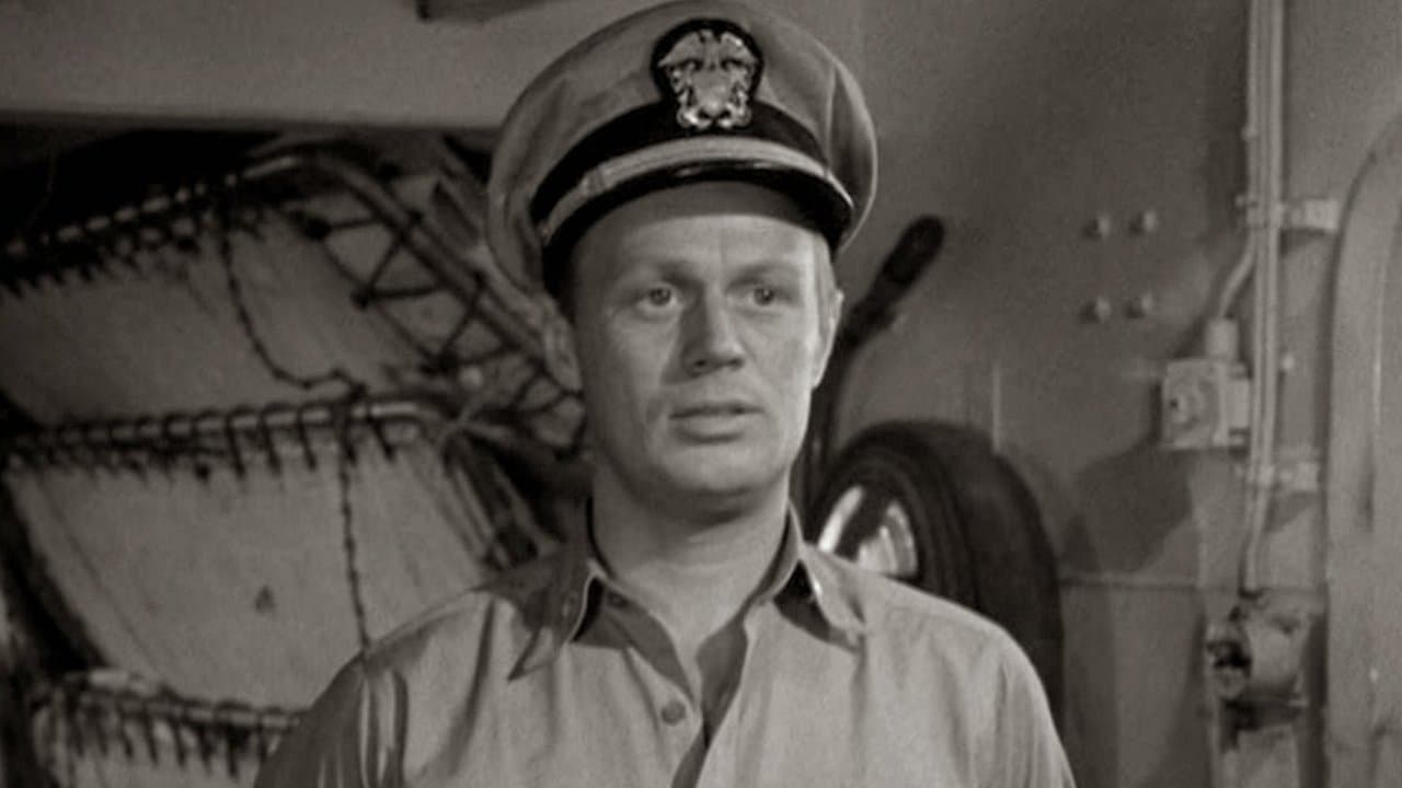 Backdrop – Froschmänner