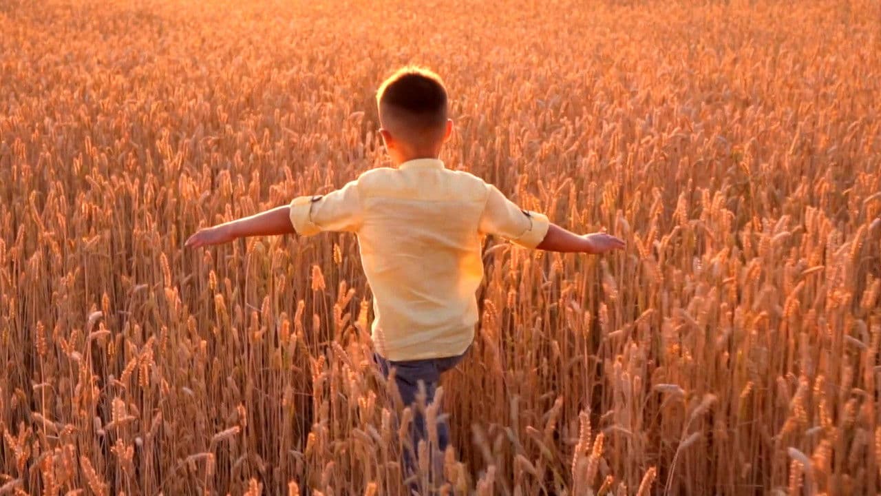 Backdrop – The Honey Bee