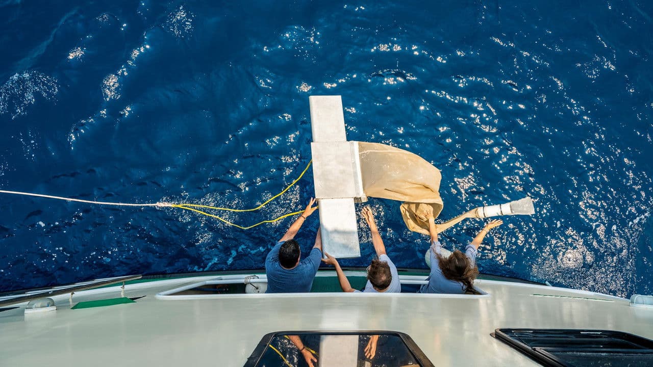 Backdrop – Plasticósfera