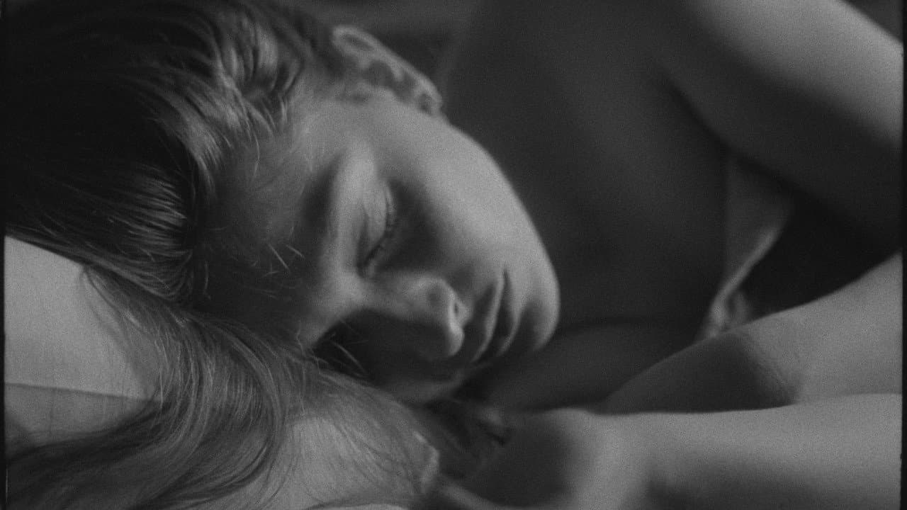 Backdrop – Velvet &