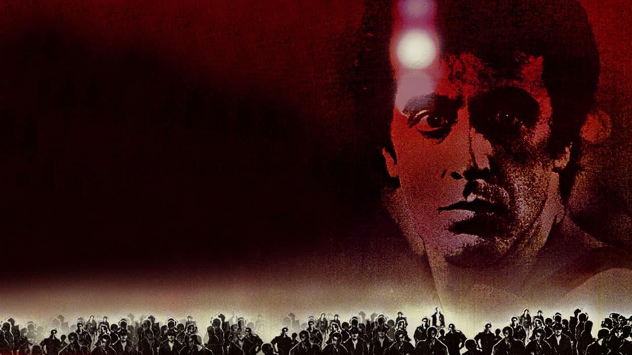 Backdrop – Cruising