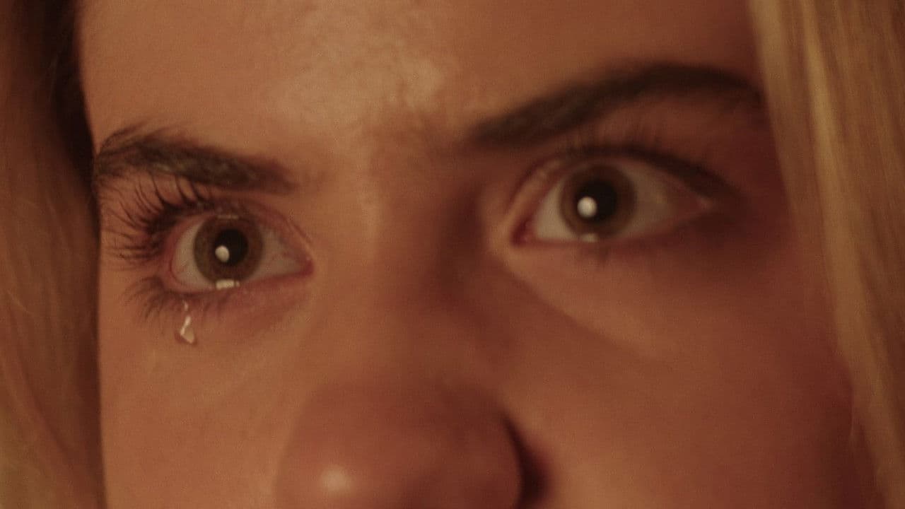 Backdrop – The Pilgrim's Ballad