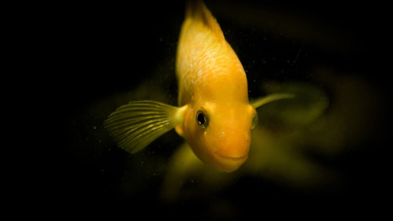 Backdrop – Taking Stock