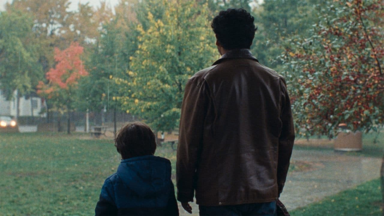 Backdrop – Le coyote