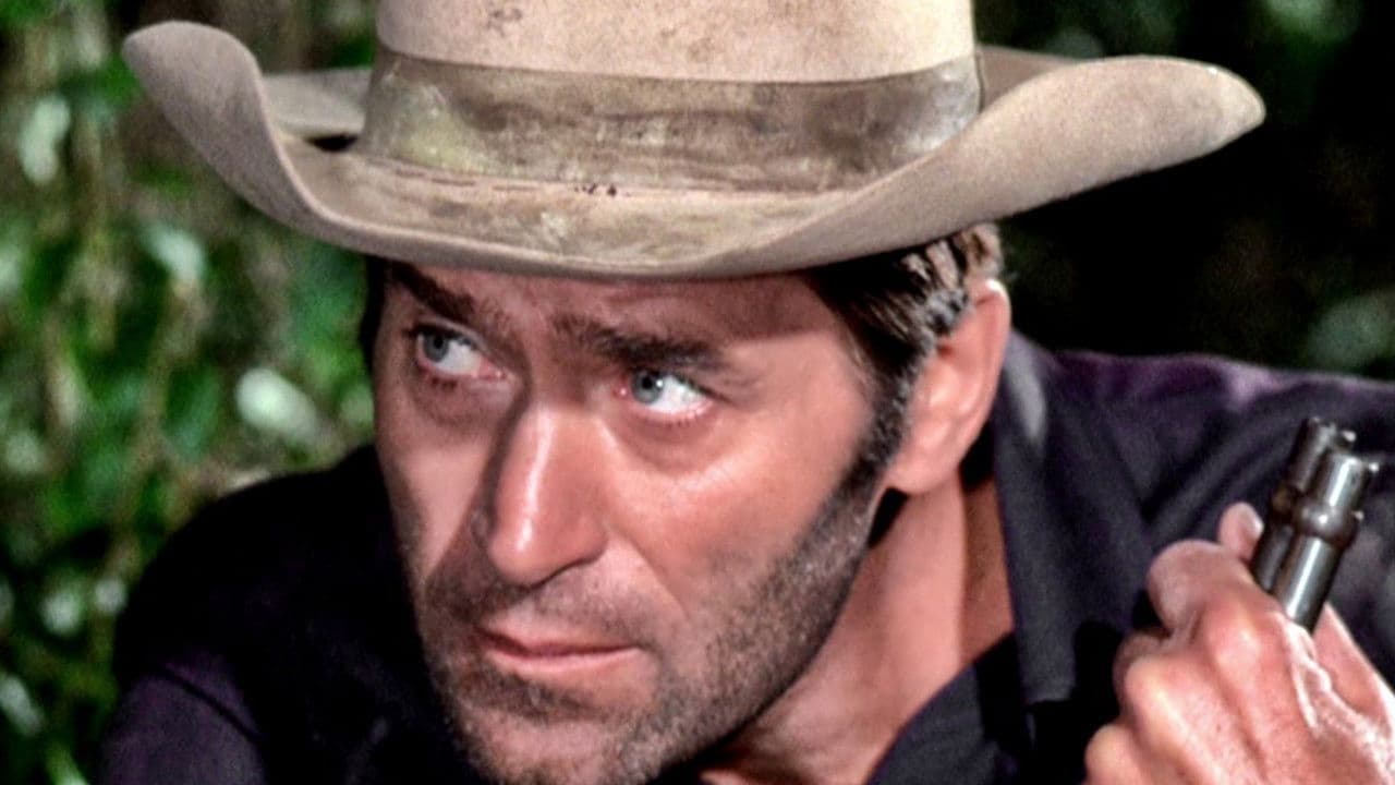 Backdrop – Hardcase