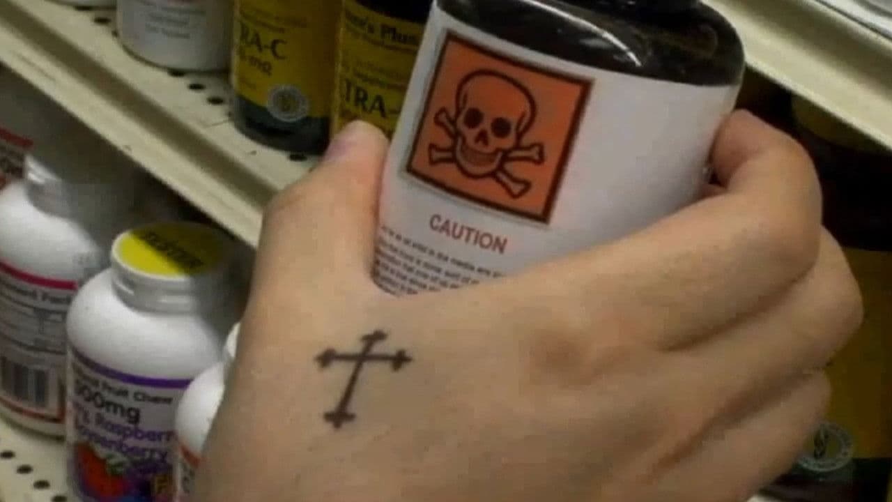 Backdrop – Fat Tuesday