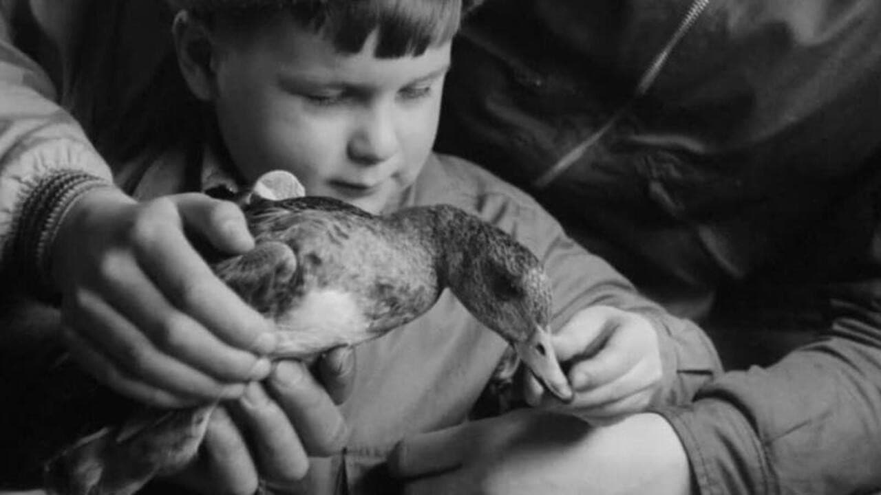 Backdrop – A Journal of the Outdoors No. 11