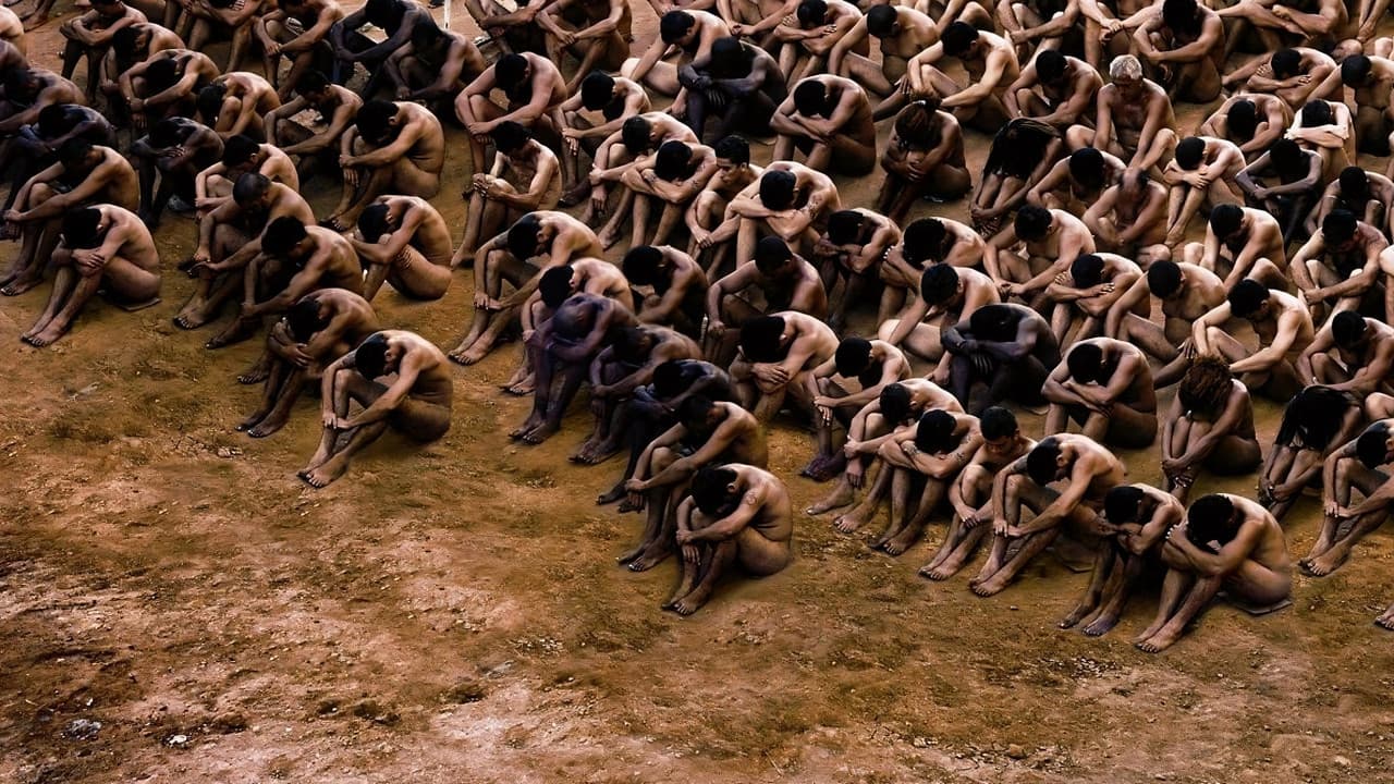 Backdrop – Carandiru