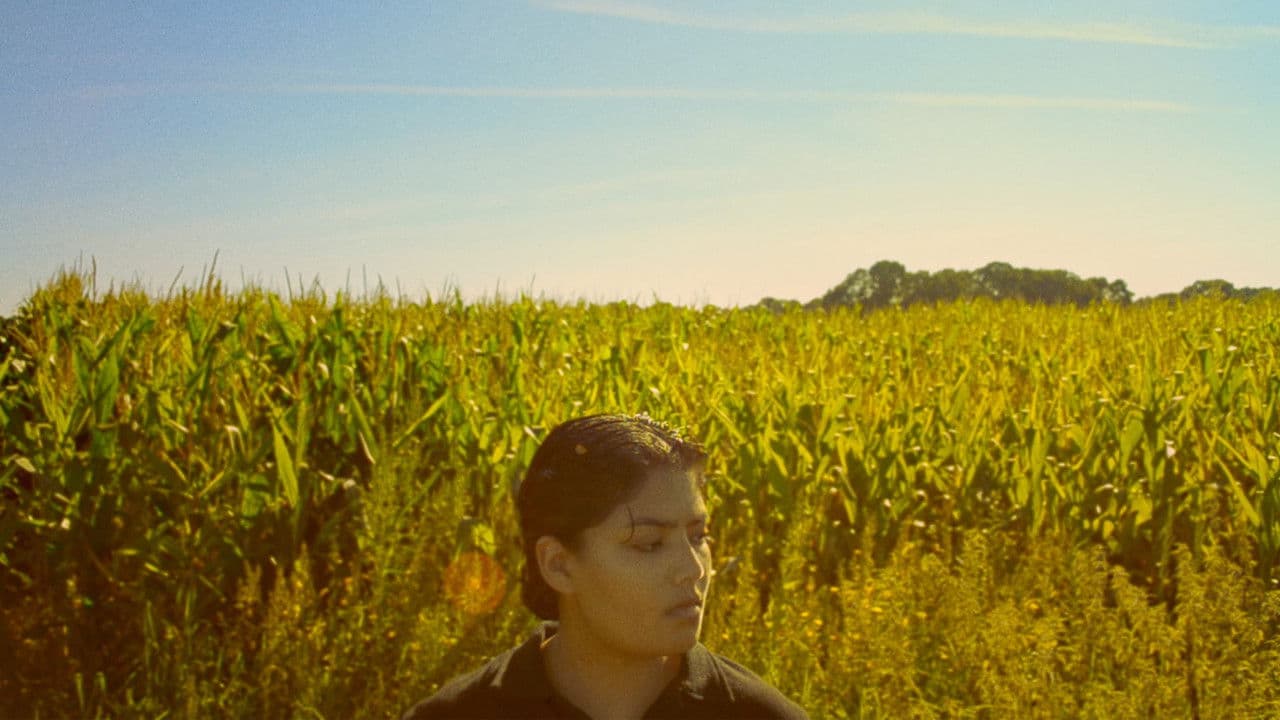 Backdrop – Greenpeace