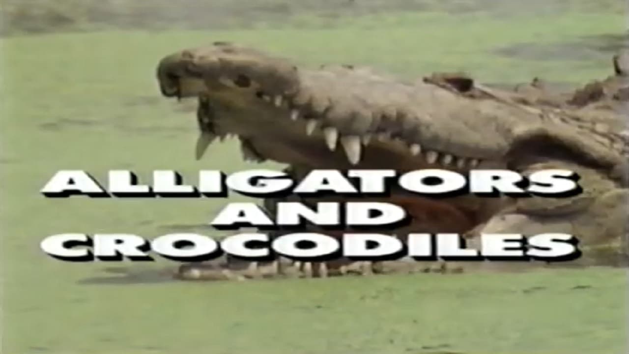 Backdrop – Predators of the Wild: Crocodiles and Alligators