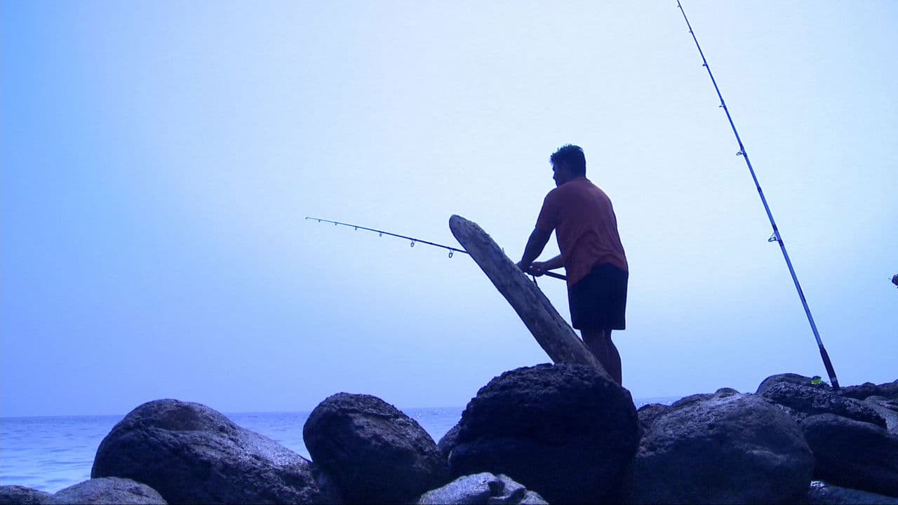 Backdrop – La Sirena