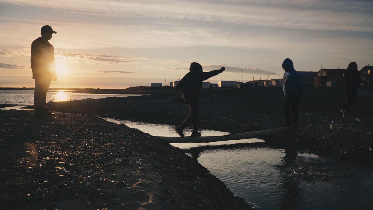 Backdrop – Arctic Summer