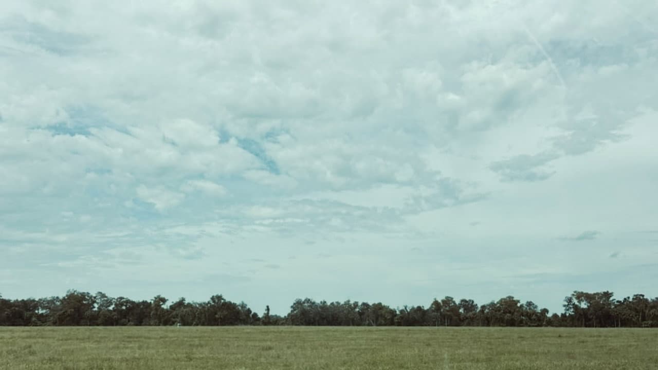 Backdrop – MIKE.