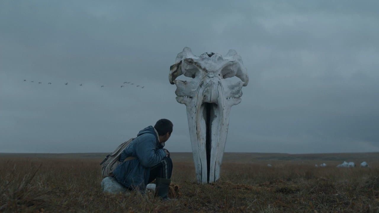 Backdrop – The Whaler Boy