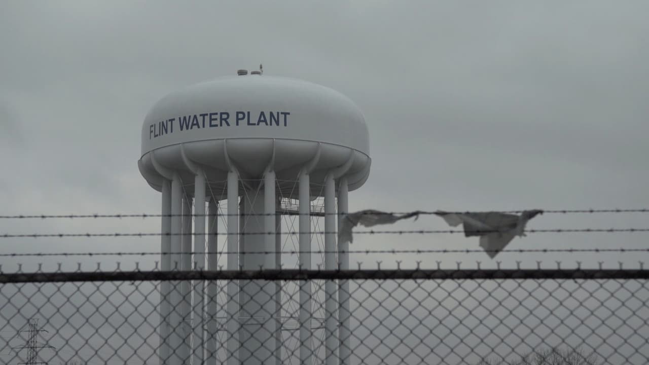 Backdrop – No Harm No Foul