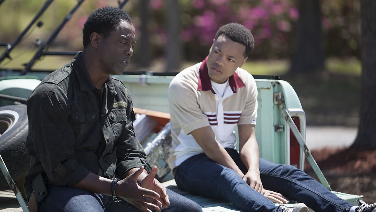 Backdrop – Blackbird