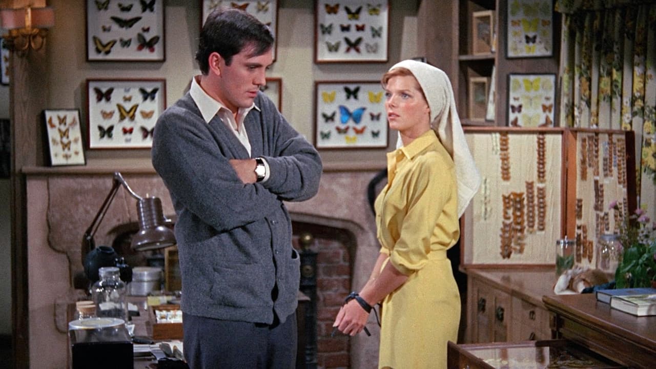 Backdrop – Der Fänger