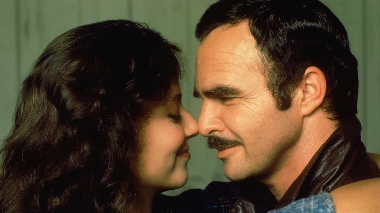 Backdrop – Sharky und seine Profis