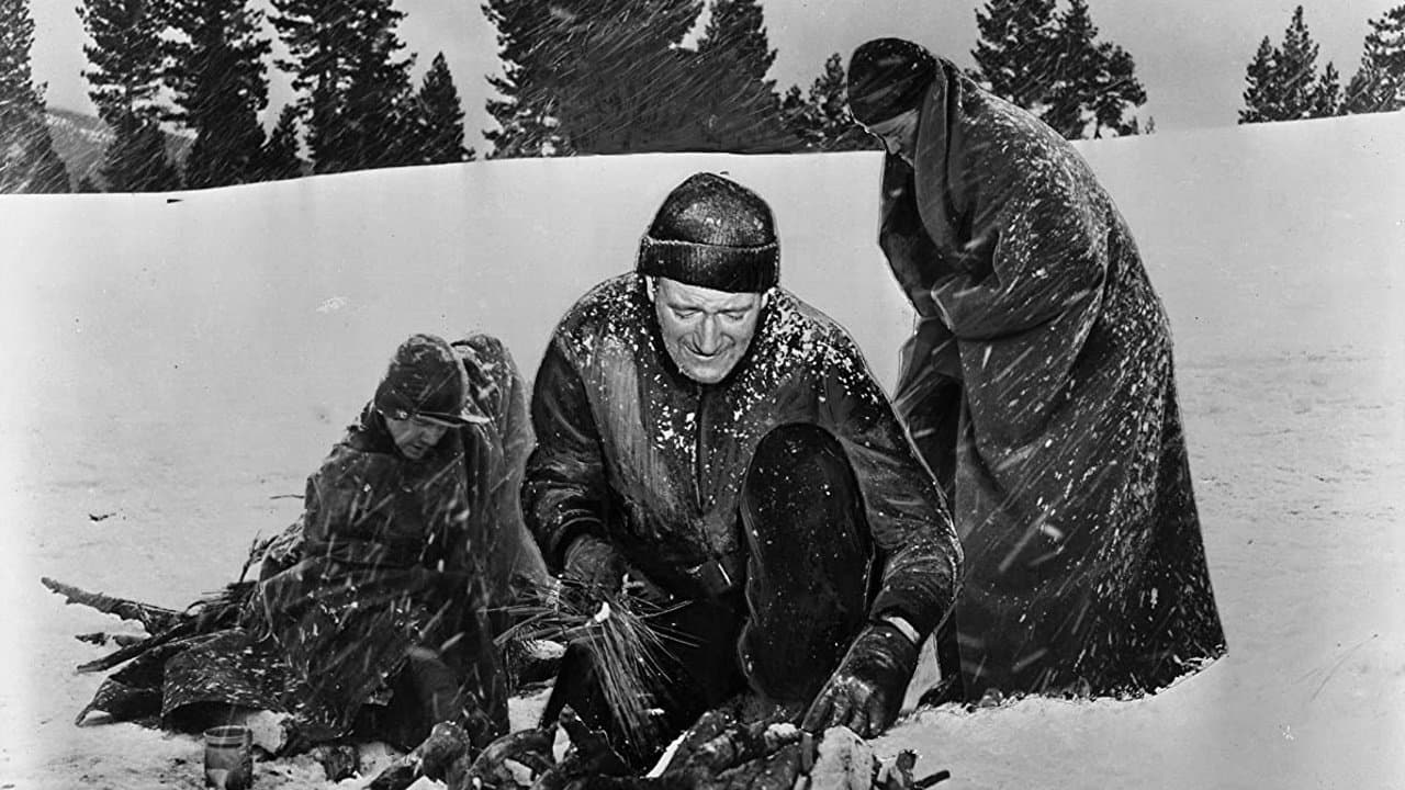 Backdrop – Das letzte Signal